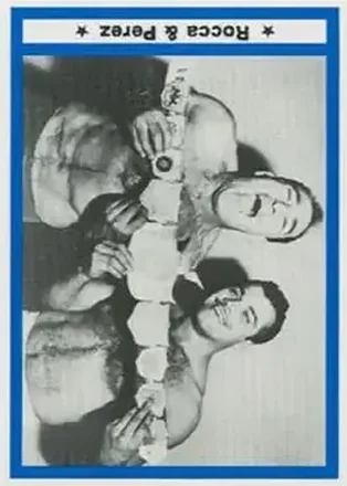 1991 Imagine Wrestling Legends #29 - Card #29