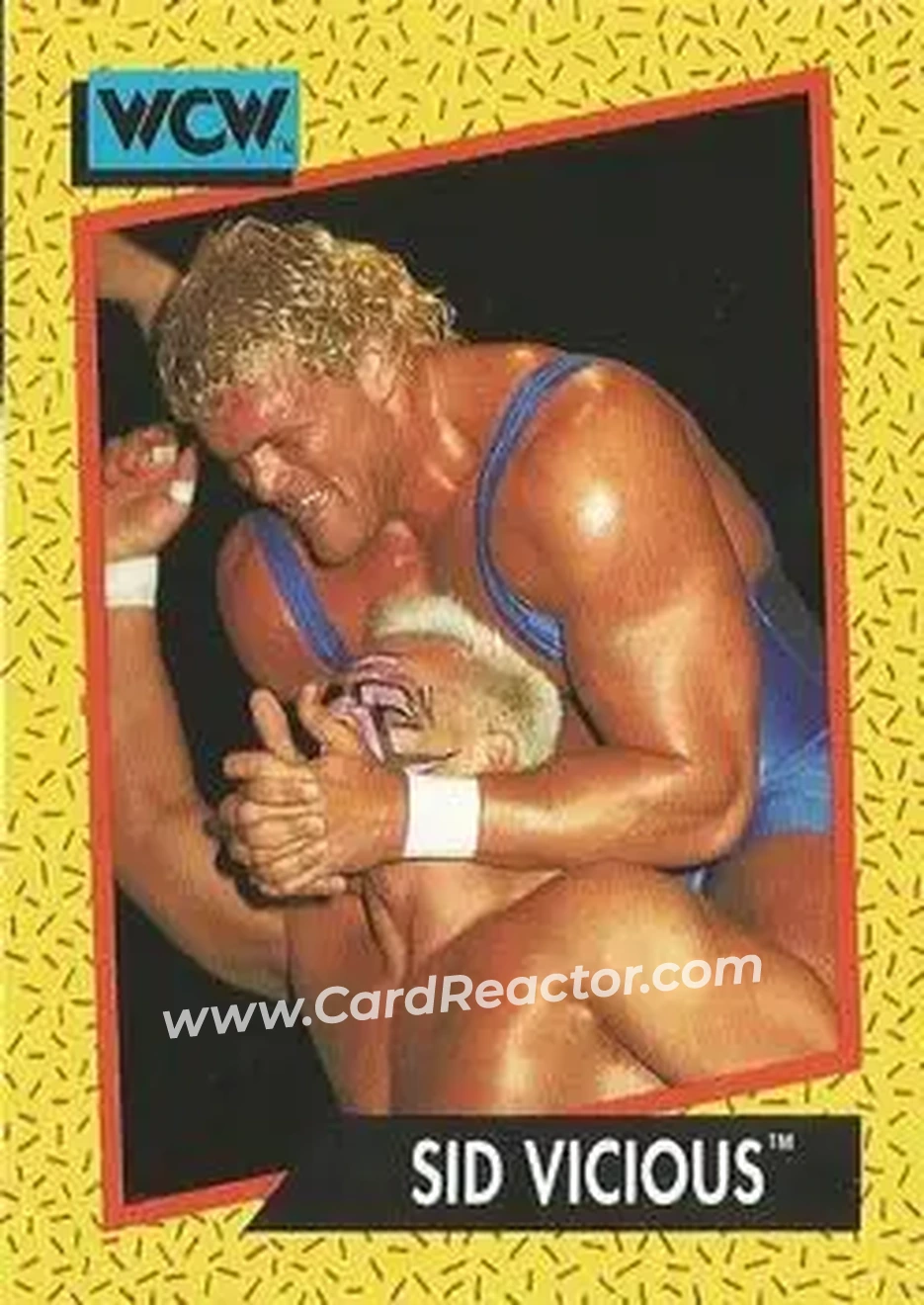 1991 Impel WCW #31 - Sid Vicious 1991 Impel WCW #31 - Sid Vicious