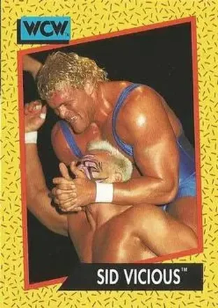 1991 Impel WCW #31 - Sid Vicious