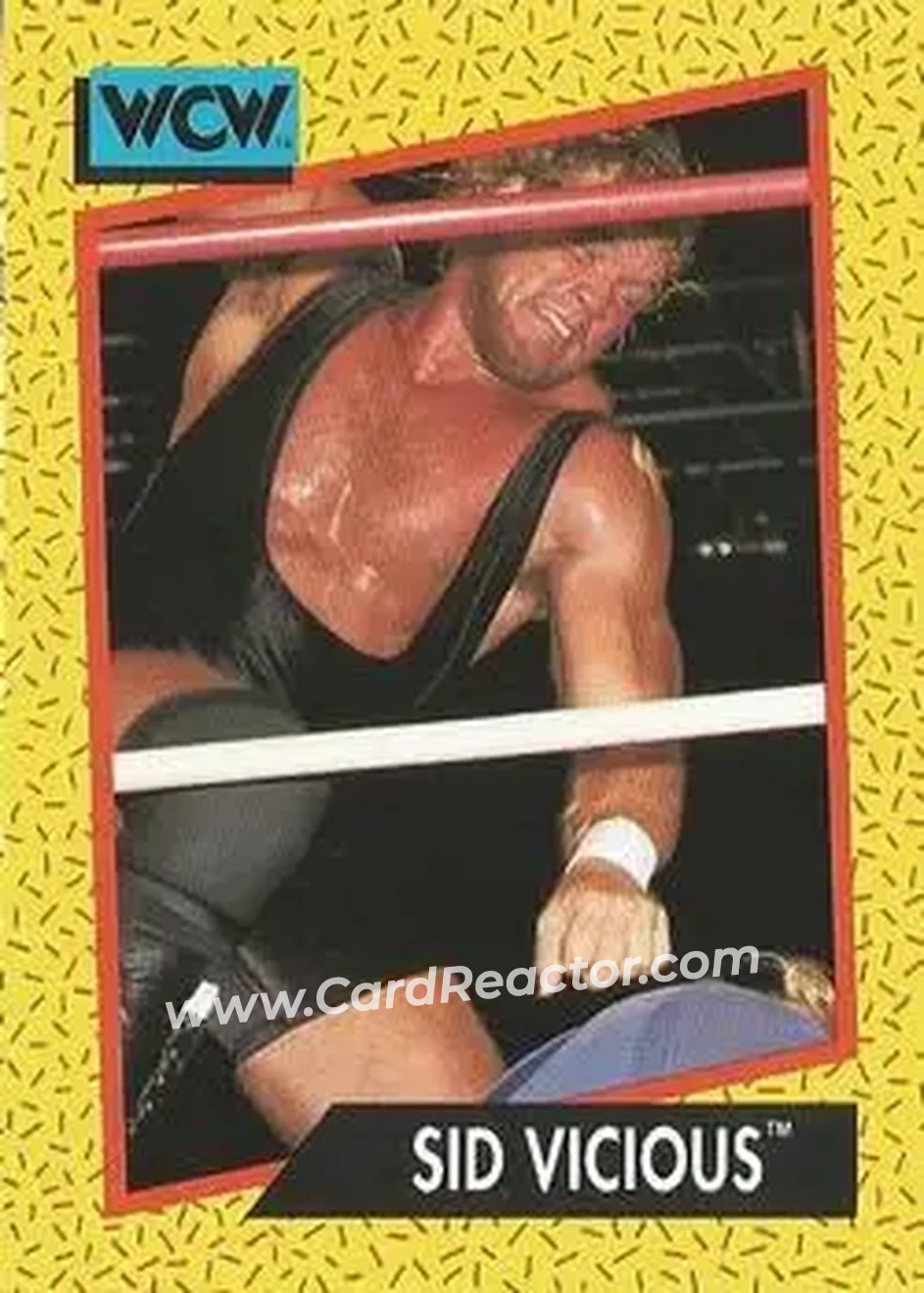 1991 Impel WCW #32 - Sid Vicious