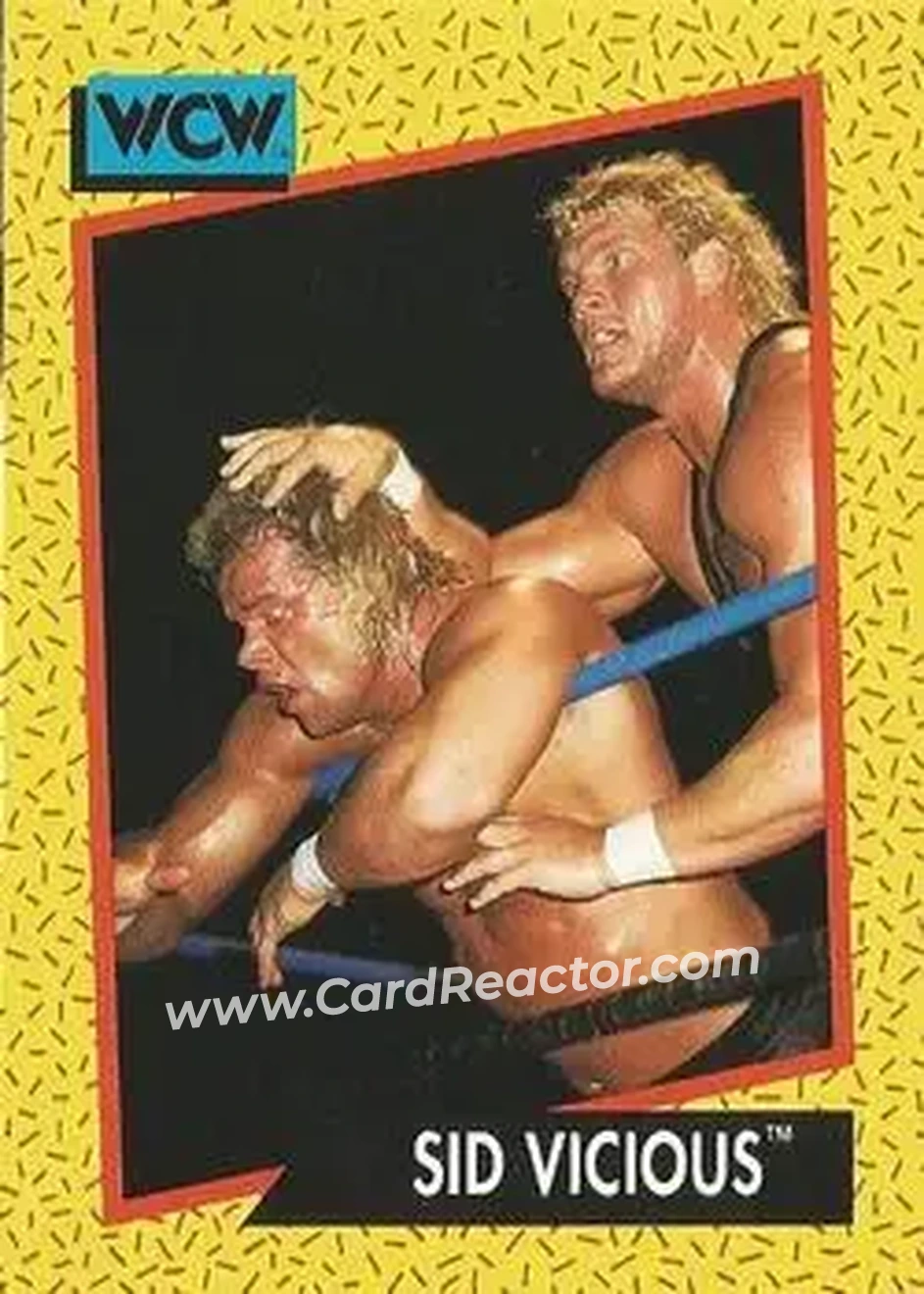 1991 Impel WCW #33 - Sid Vicious 1991 Impel WCW #33 - Sid Vicious