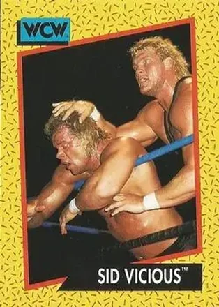 1991 Impel WCW #33 - Sid Vicious