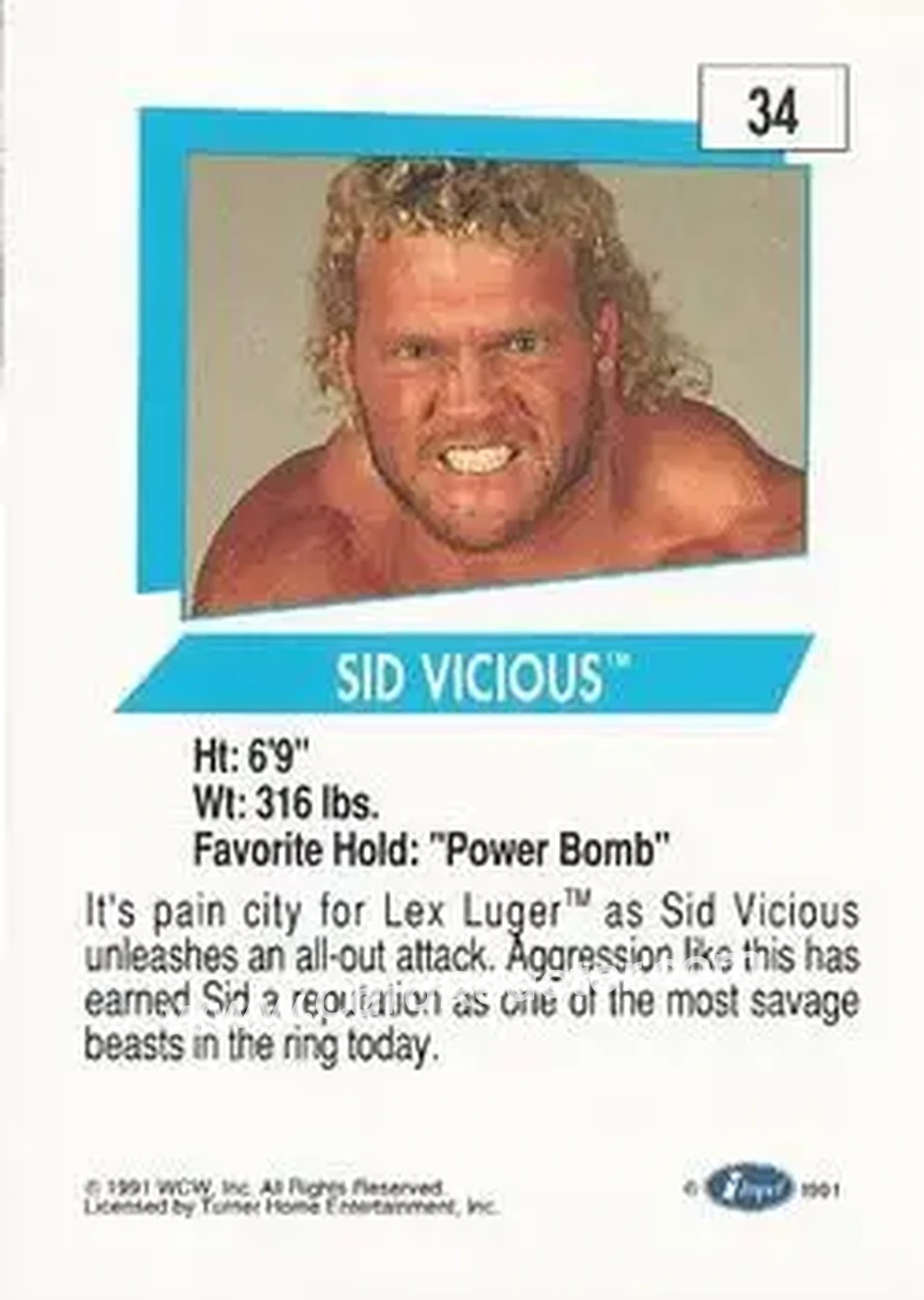 1991 Impel WCW #34 - Sid Vicious 1991 Impel WCW #34 - Sid Vicious