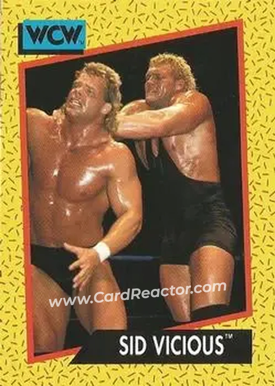 1991 Impel WCW #34 - Sid Vicious 1991 Impel WCW #34 - Sid Vicious
