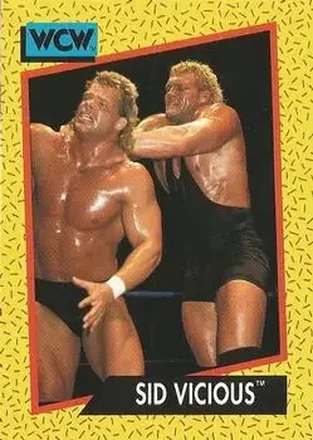 1991 Impel WCW #34 - Sid Vicious
