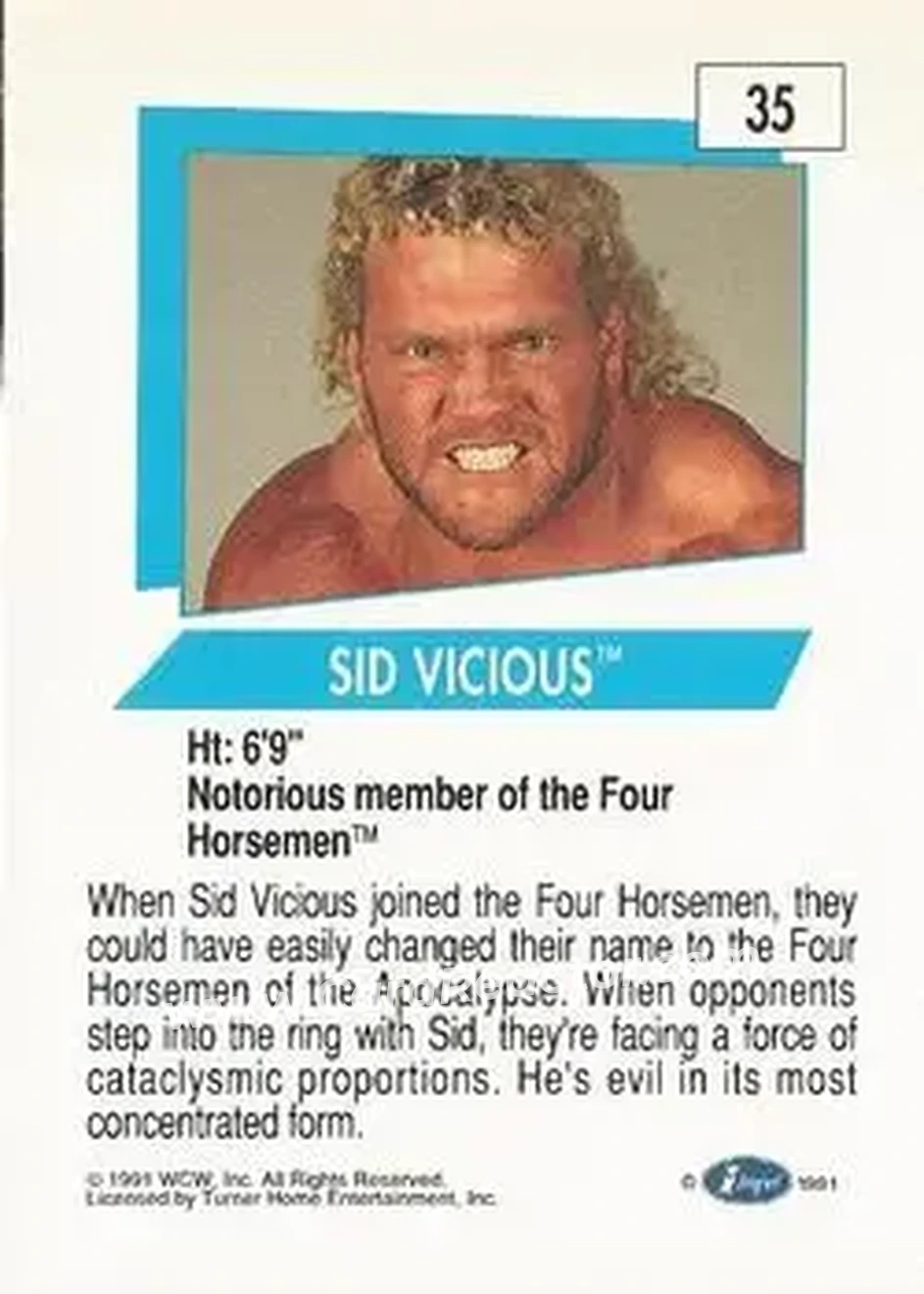 1991 Impel WCW #35 - Sid Vicious