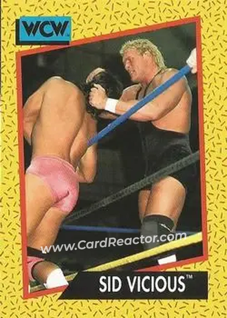 1991 Impel WCW #35 - Sid Vicious