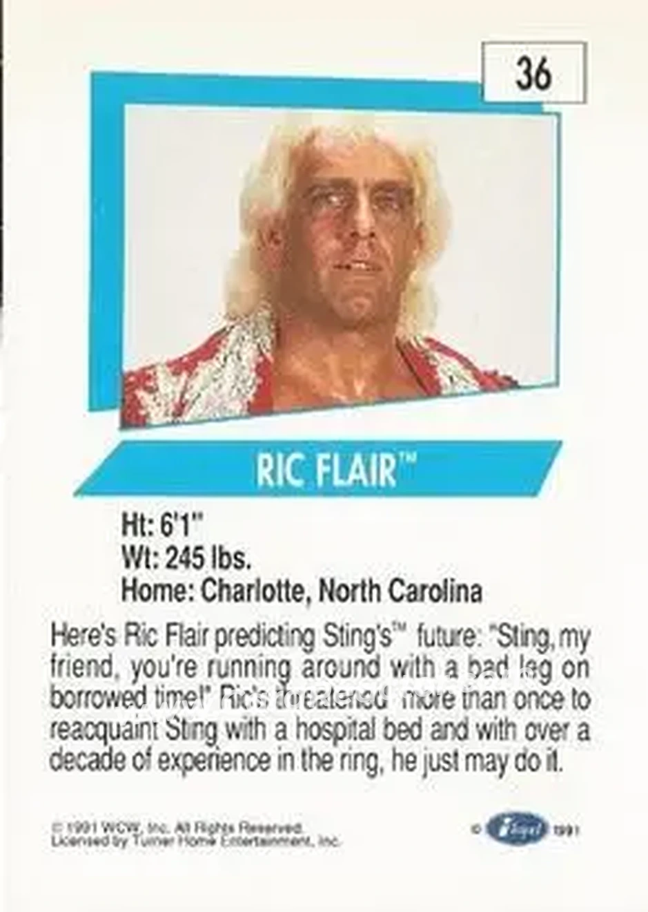 1991 Impel WCW #36 - Ric Flair