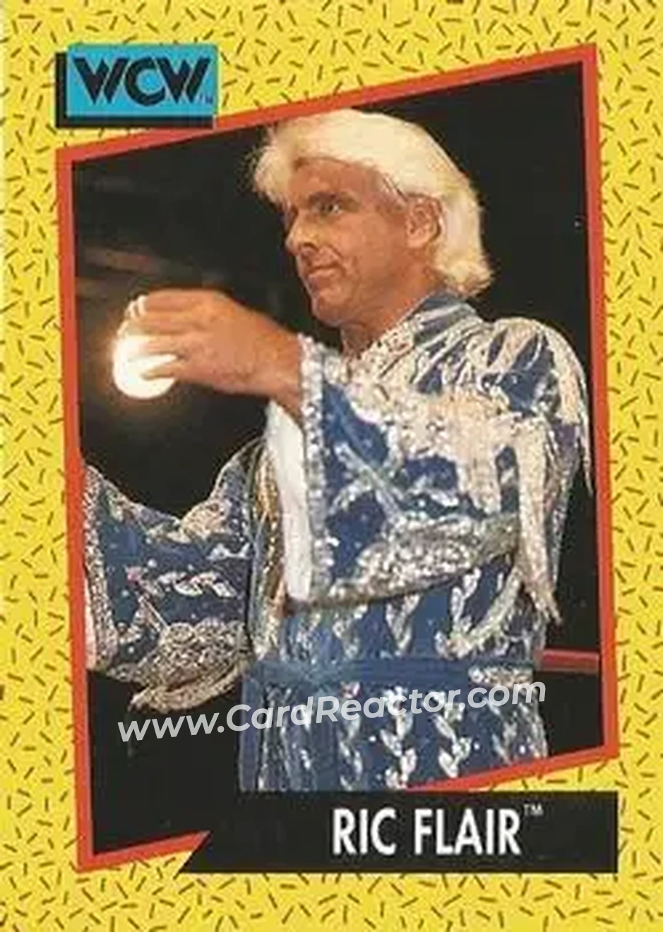 1991 Impel WCW #36 - Ric Flair