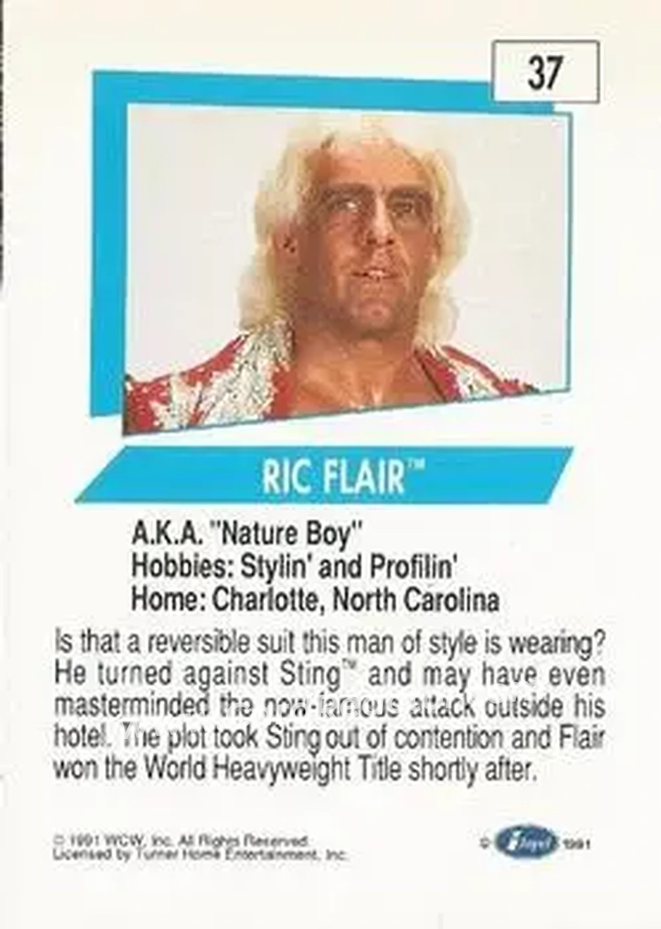 1991 Impel WCW #37 - Ric Flair