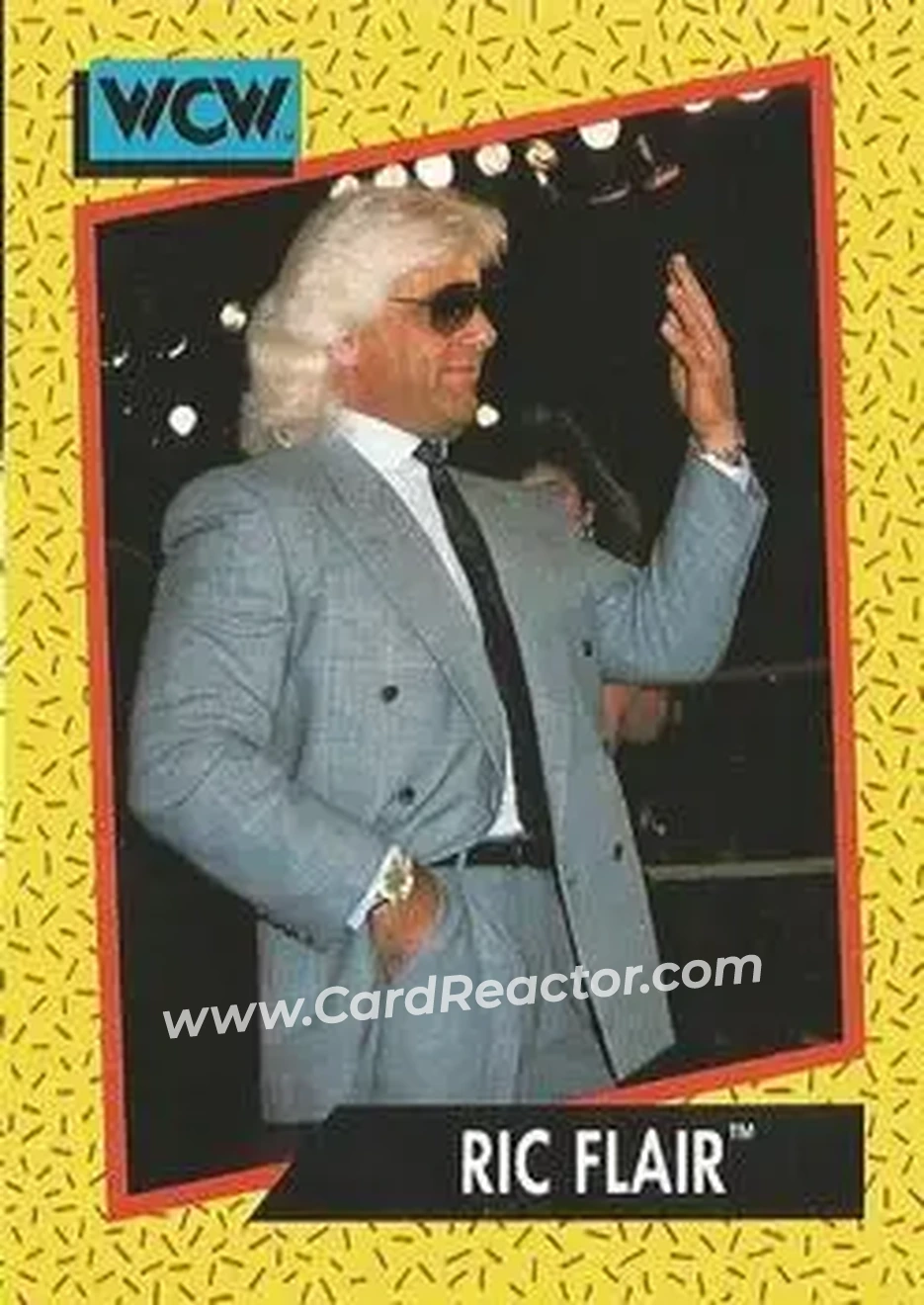 1991 Impel WCW #37 - Ric Flair