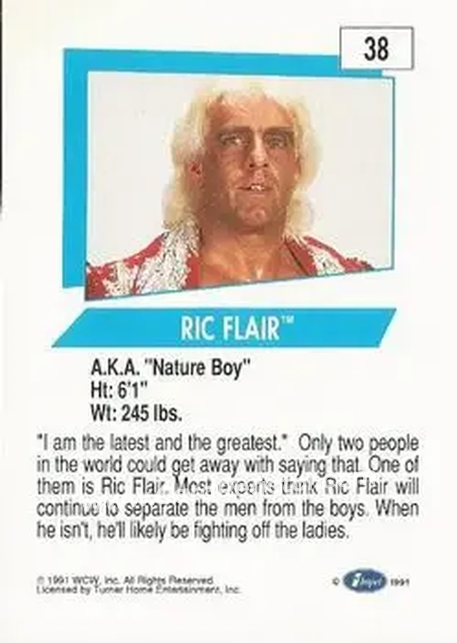 1991 Impel WCW #38 - Ric Flair