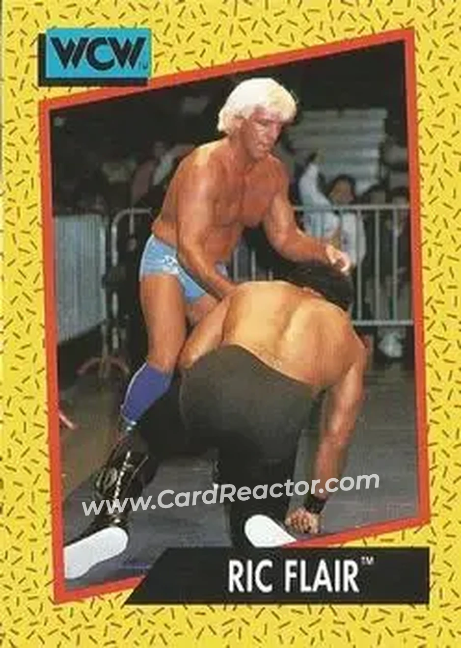 1991 Impel WCW #38 - Ric Flair
