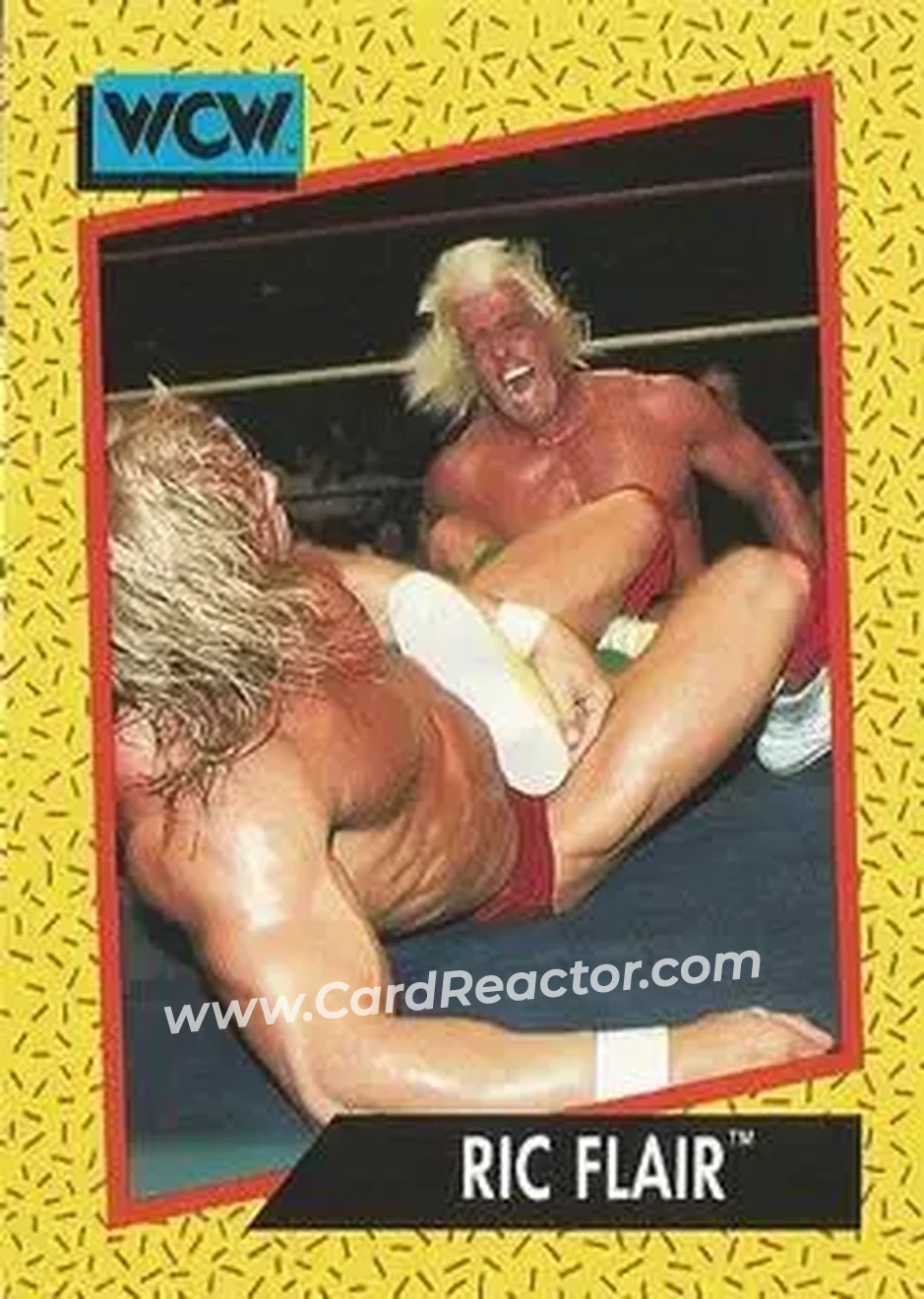 1991 Impel WCW #39 - Ric Flair