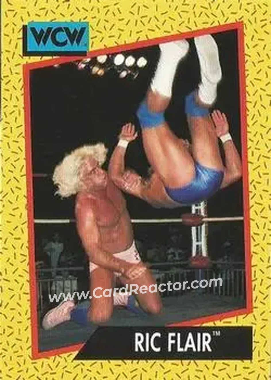 1991 Impel WCW #40 - Ric Flair