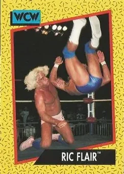 1991 Impel WCW #40 - Ric Flair
