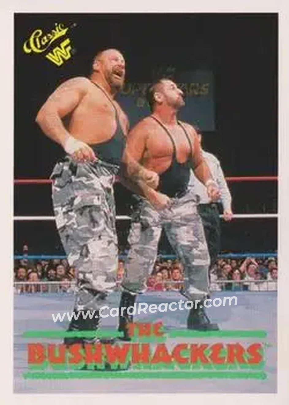 1990 Classic WWF #116 - The Bushwhackers (Butch & Luke)