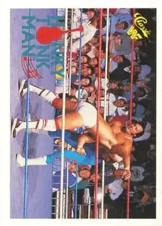1990 Classic WWF #117 - Honky Tonk Man