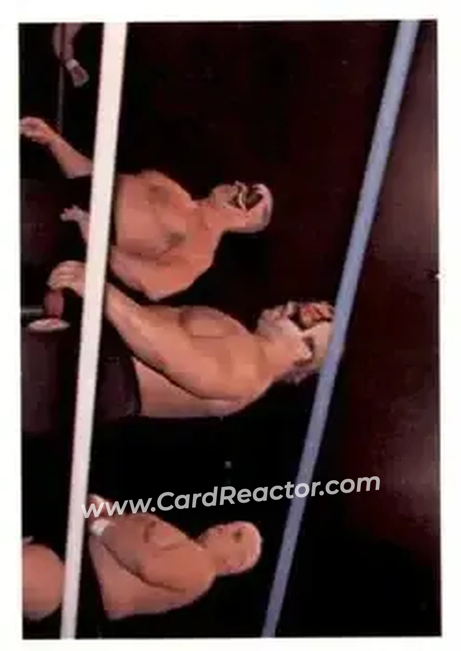1988 Wonderama NWA #207 - Card #207