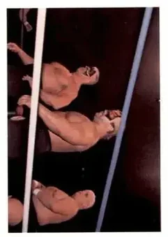1988 Wonderama NWA #207 - Card #207