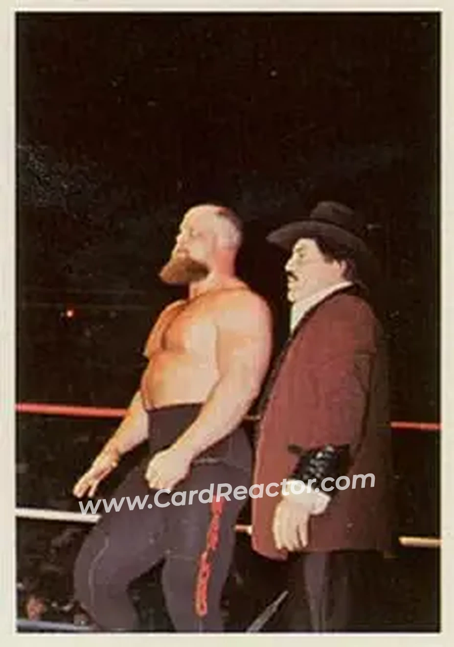 1988 Wonderama NWA #210 - Card #210