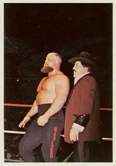 1988 Wonderama NWA #210 - Card #210