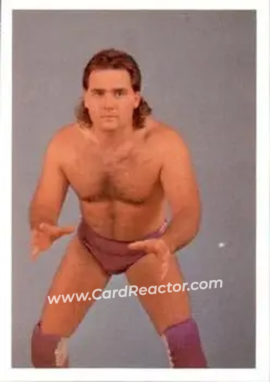 1988 Wonderama NWA #213 - Larry Stephens