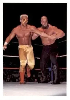 1988 Wonderama NWA #214 - Card #214