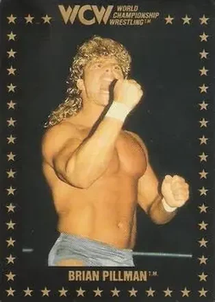 1991 Championship Marketing WCW #11 - Brian Pillman
