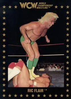 1991 Championship Marketing WCW #12 - Ric Flair - Front