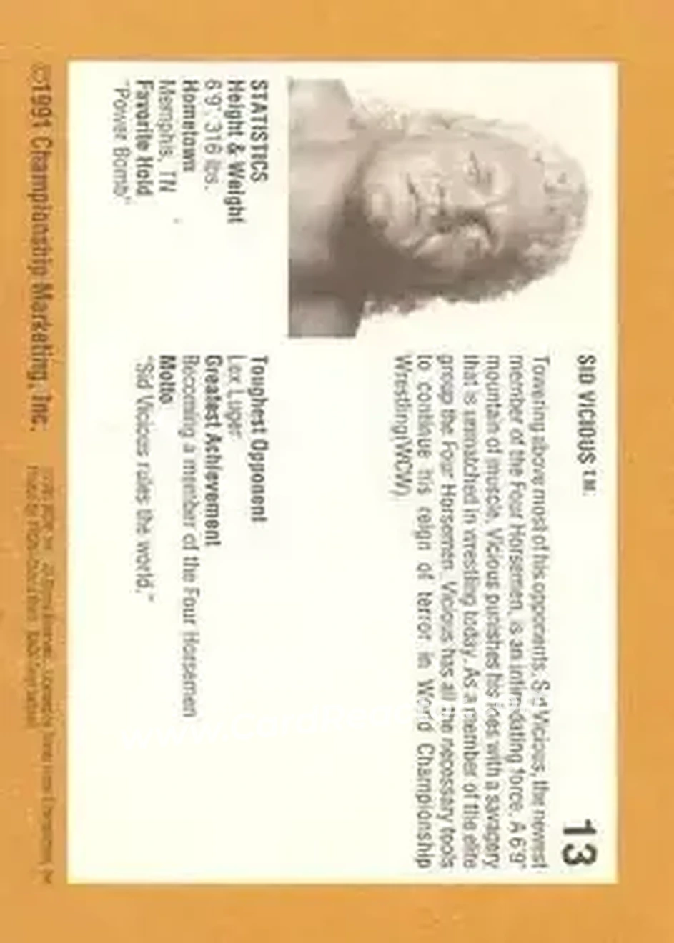 1991 Championship Marketing WCW #13 - Sid Vicious
