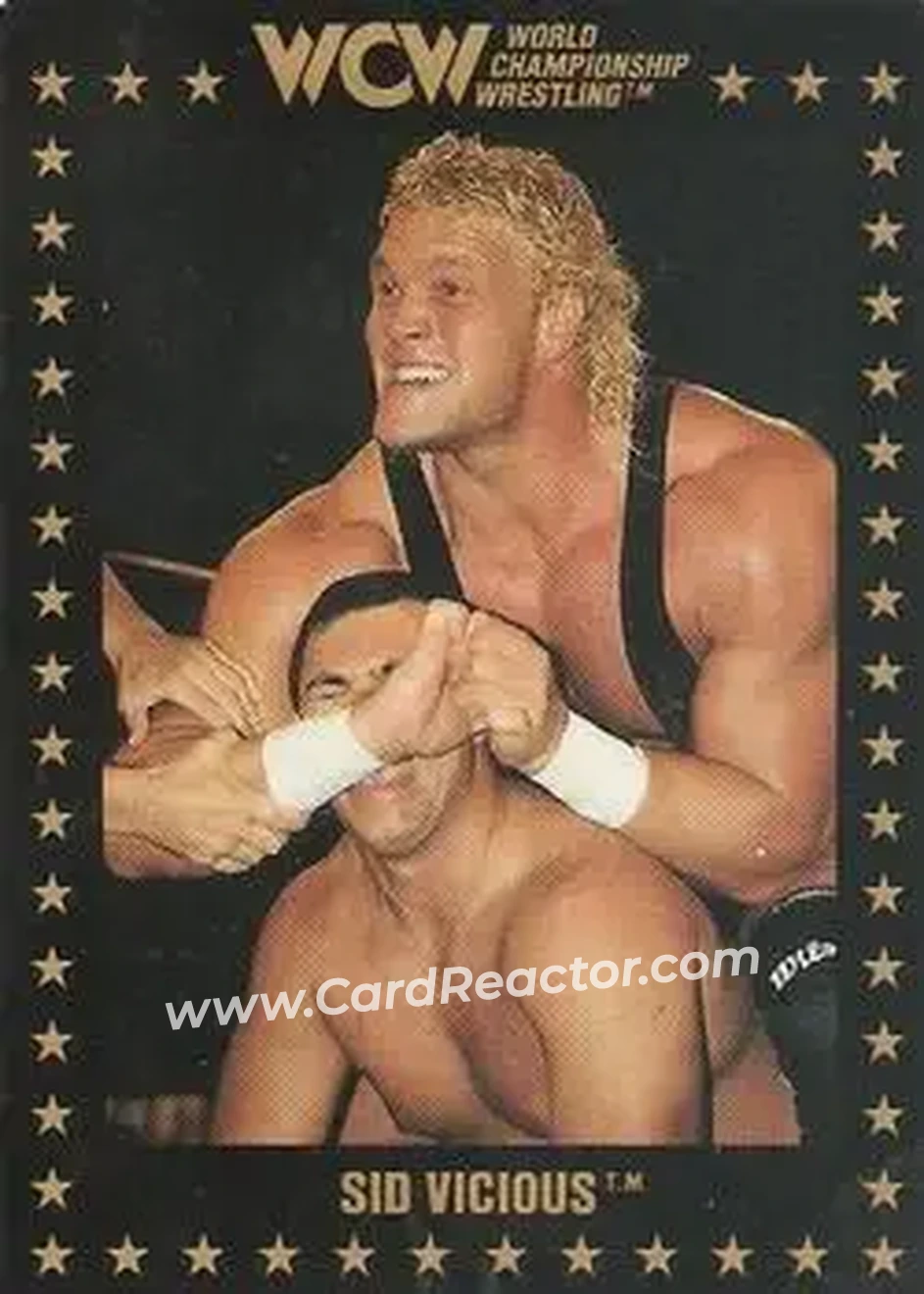1991 Championship Marketing WCW #13 - Sid Vicious