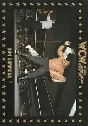 1991 Championship Marketing WCW #16 - Ron Simmons