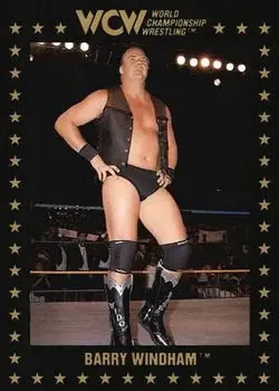 1991 Championship Marketing WCW #17 - The Widow Maker 1991 Championship Marketing WCW #17 - The Widow Maker