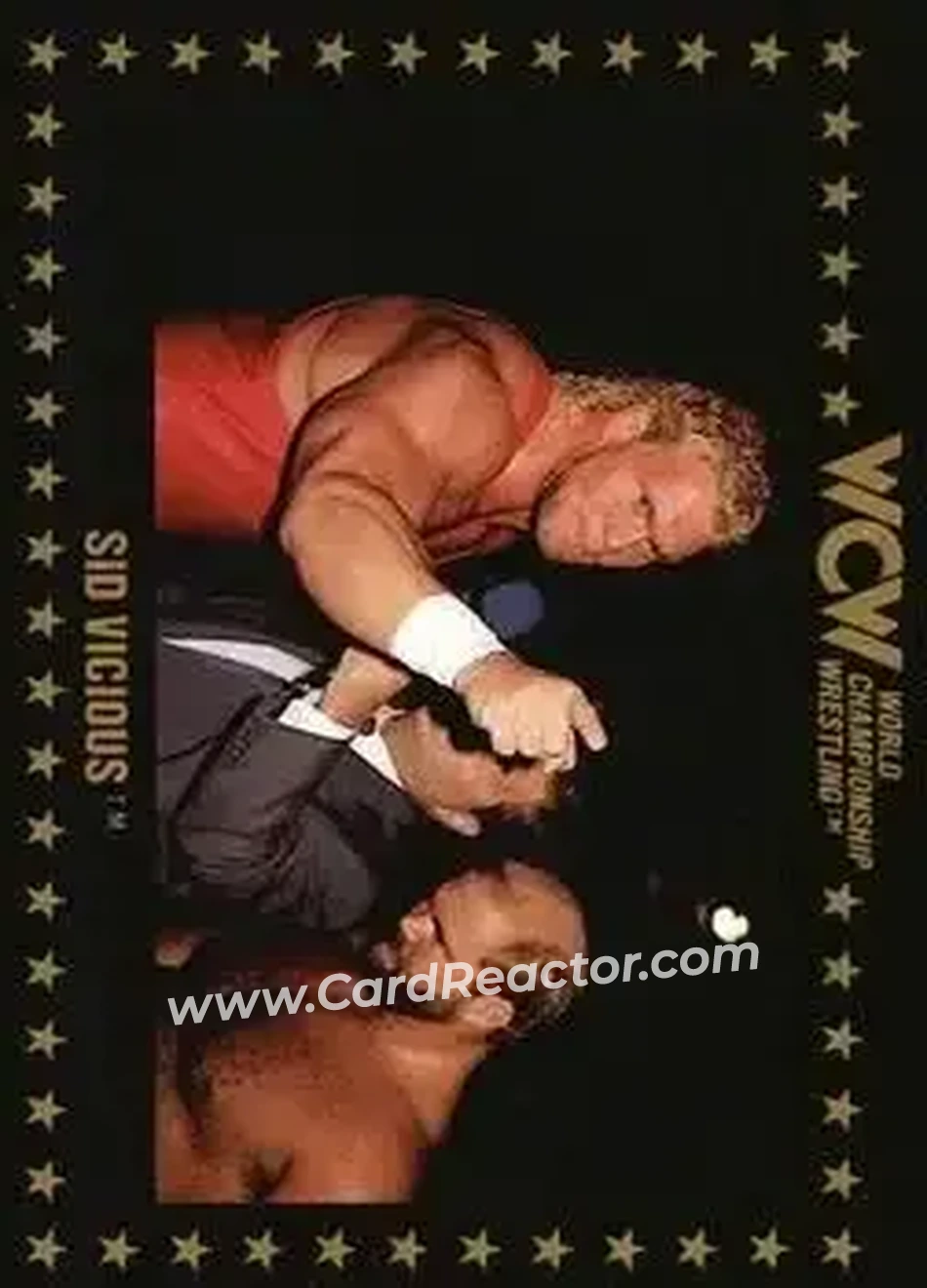 1991 Championship Marketing WCW #18 - Sid Vicious
