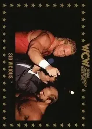 1991 Championship Marketing WCW #18 - Sid Vicious