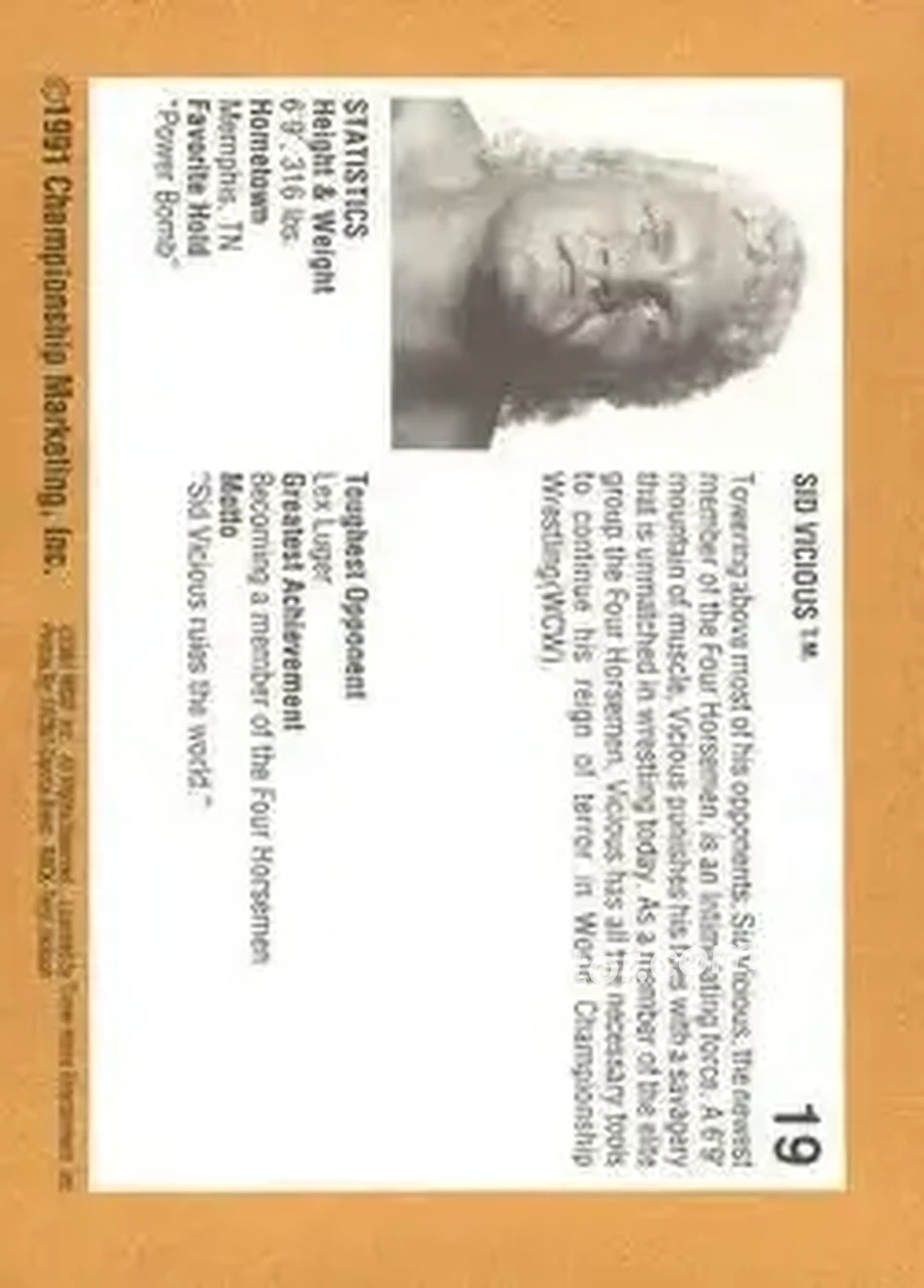 1991 Championship Marketing WCW #19 - Sid Vicious