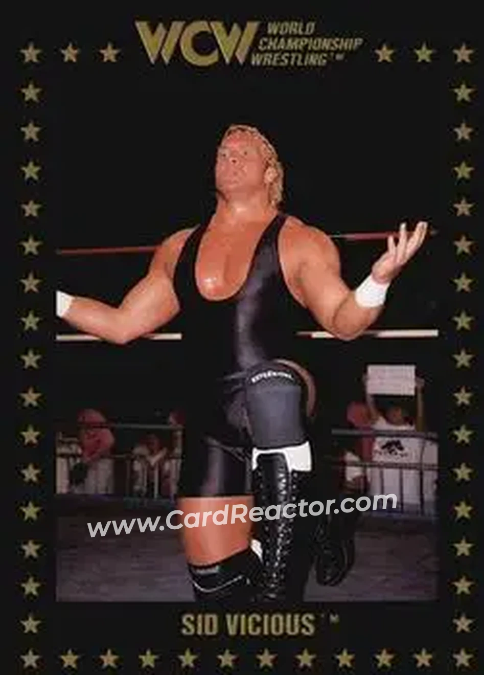 1991 Championship Marketing WCW #19 - Sid Vicious