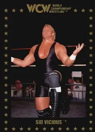 1991 Championship Marketing WCW #19 - Sid Vicious