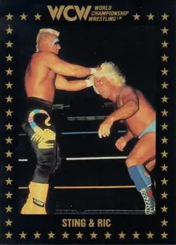 1991 Championship Marketing WCW #20 - Card #20 - Front