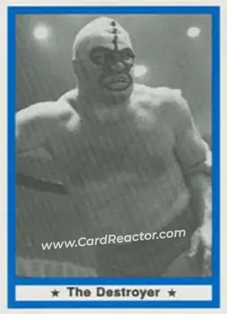 1991 Imagine Wrestling Legends #39 - The Destroyer