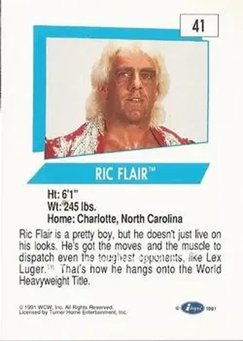 1991 Impel WCW #41 - Ric Flair