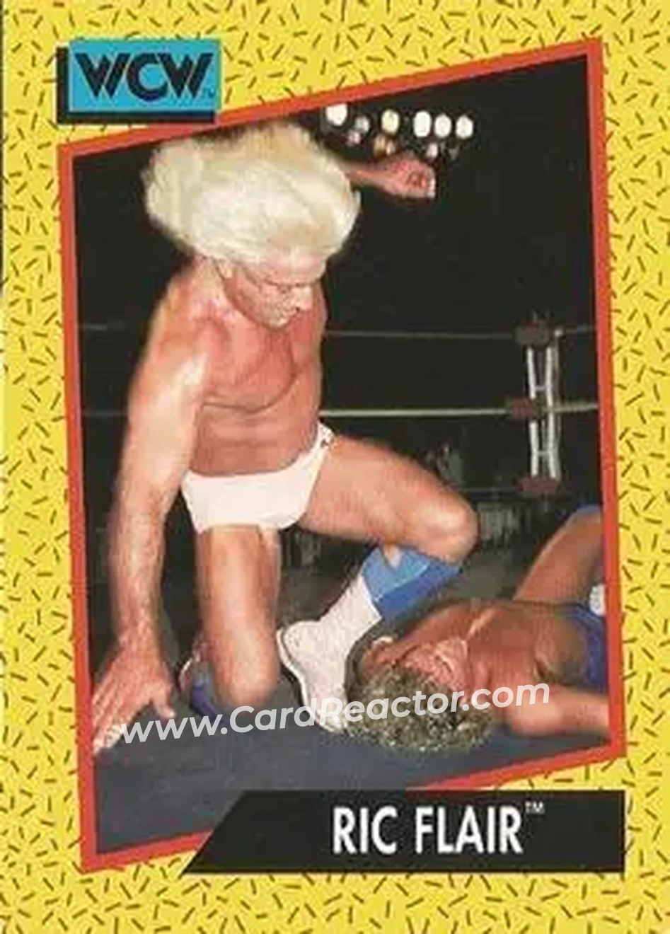 1991 Impel WCW #41 - Ric Flair