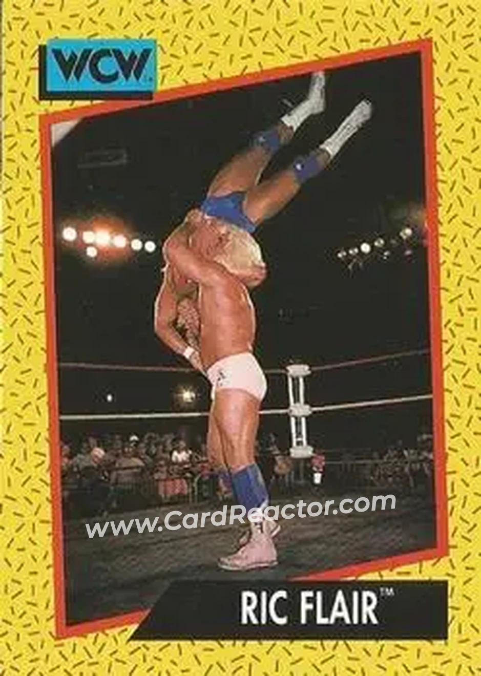 1991 Impel WCW #42 - Ric Flair