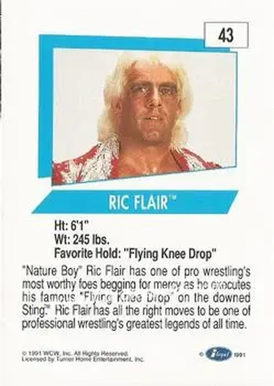 1991 Impel WCW #43 - Ric Flair