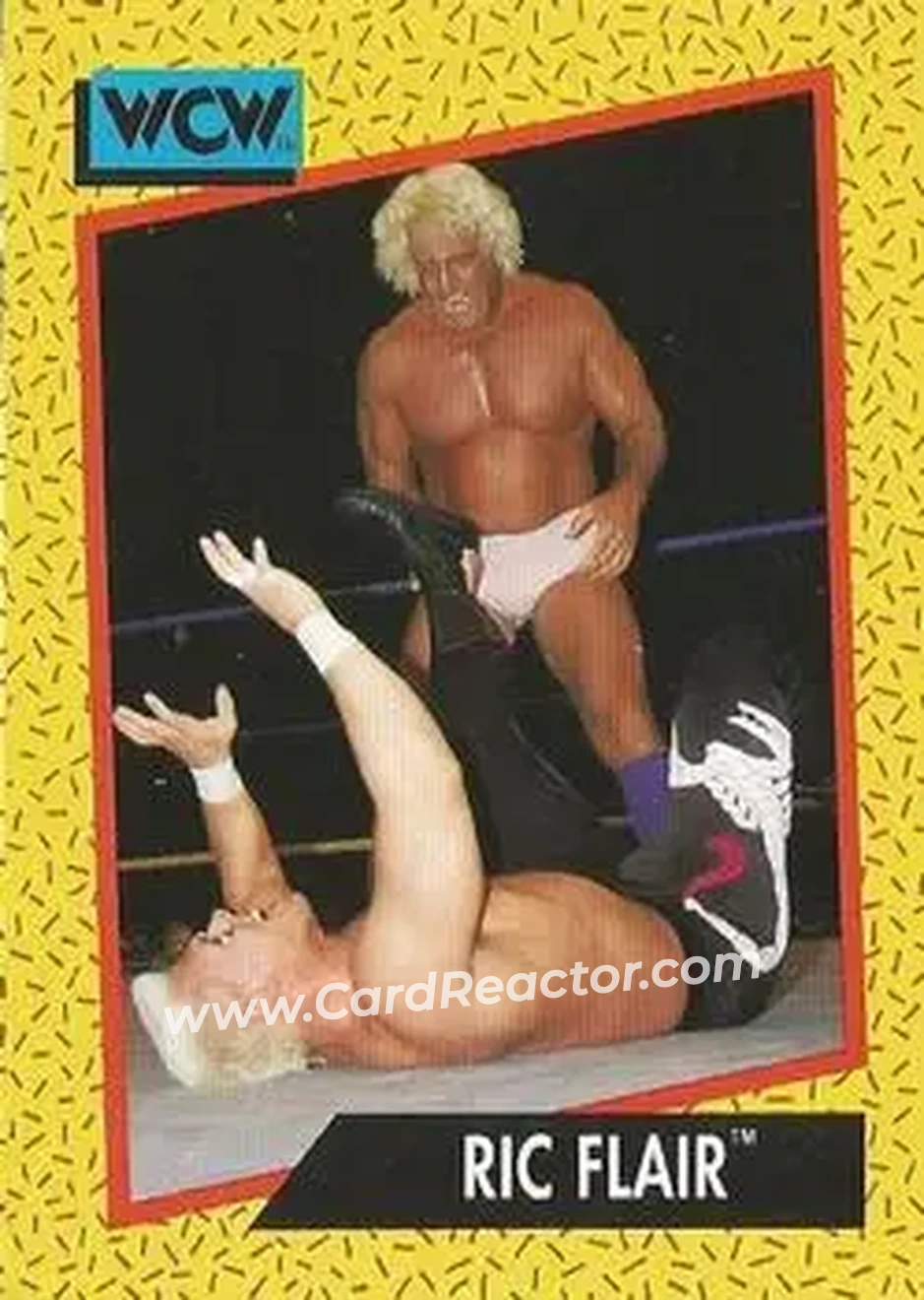1991 Impel WCW #43 - Ric Flair
