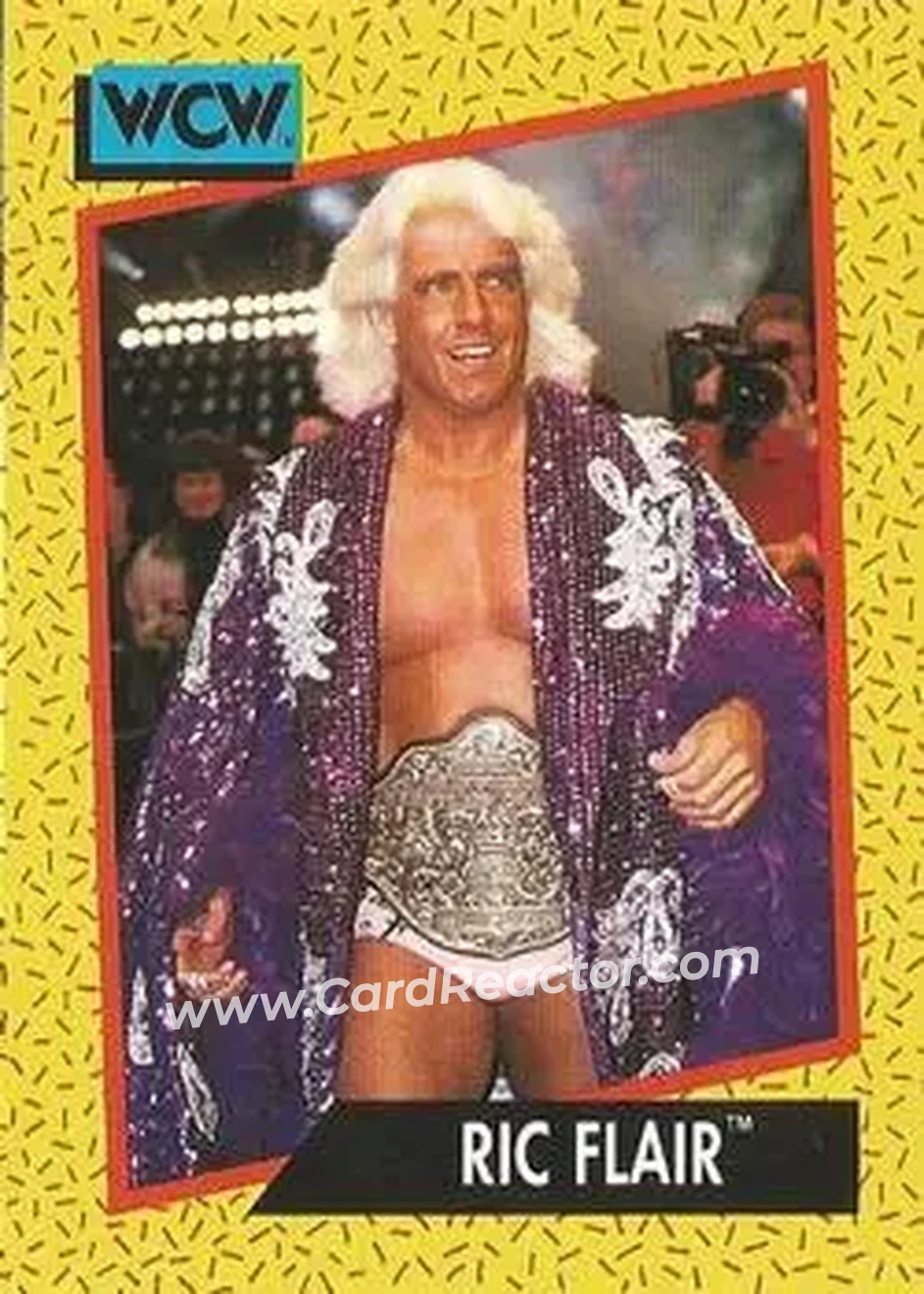 1991 Impel WCW #44 - Ric Flair