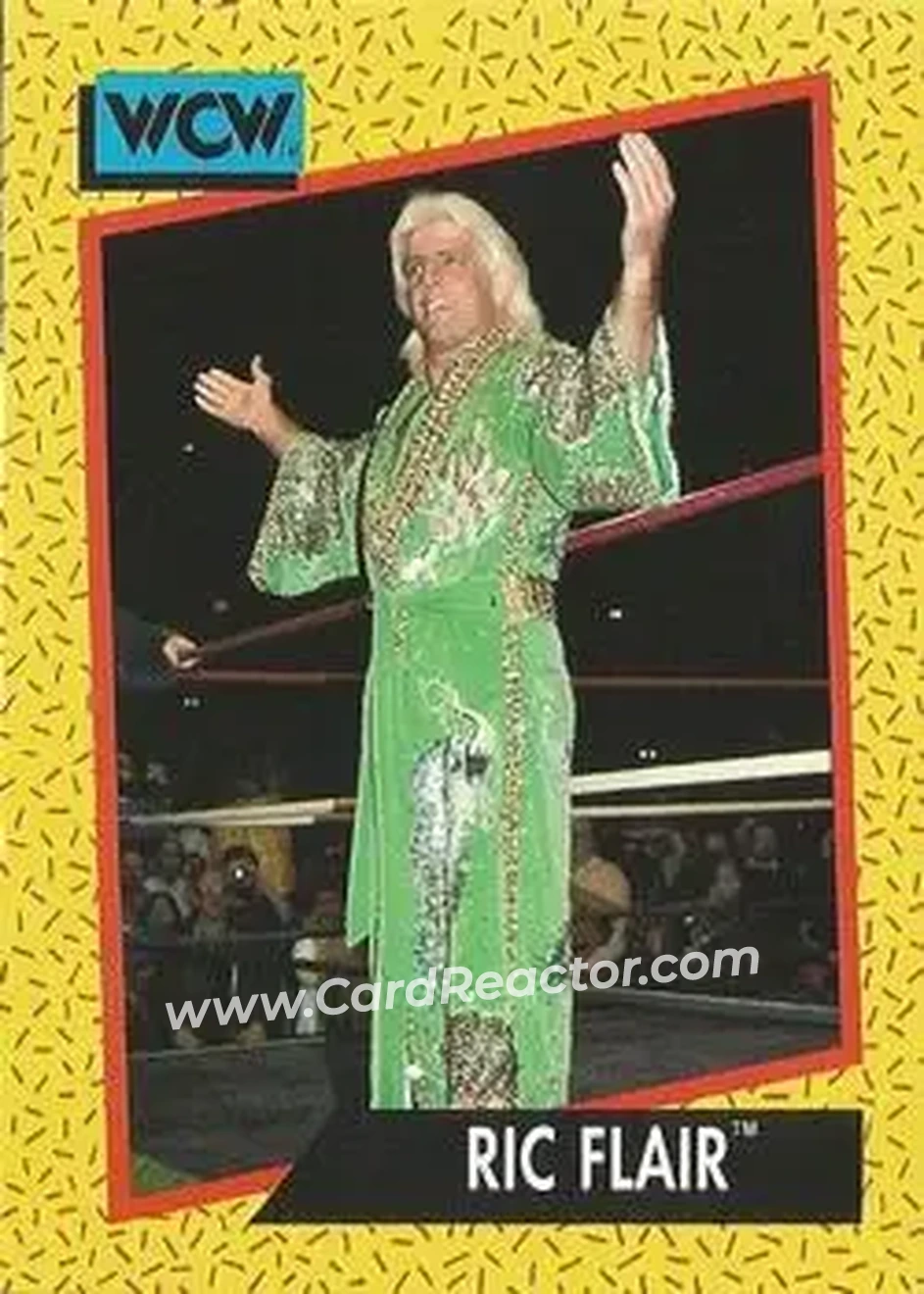 1991 Impel WCW #45 - Ric Flair