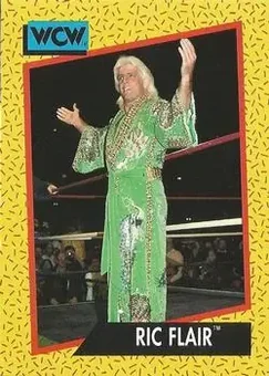 1991 Impel WCW #45 - Ric Flair