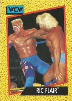 1991 Impel WCW #46 - Ric Flair